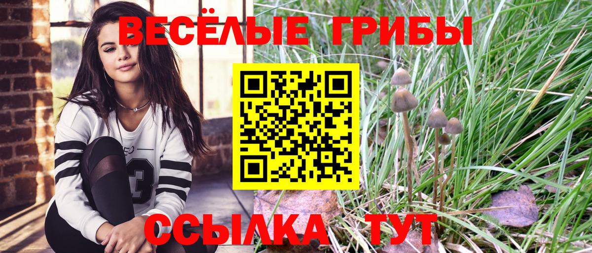 Псилоцибиновые грибы GOLDEN TEACHER Краснознаменск