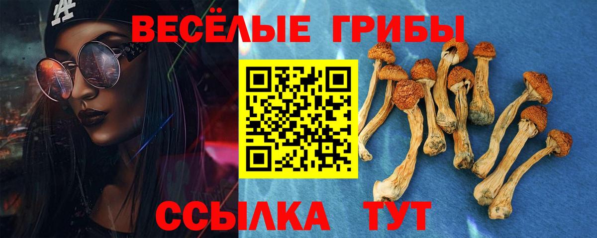 Краснознаменск  Псилоцибиновые грибы мухоморы  Вход с VPN 